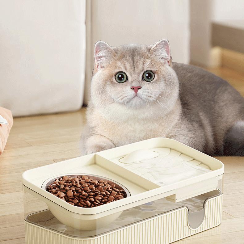 Pet Care Essentials