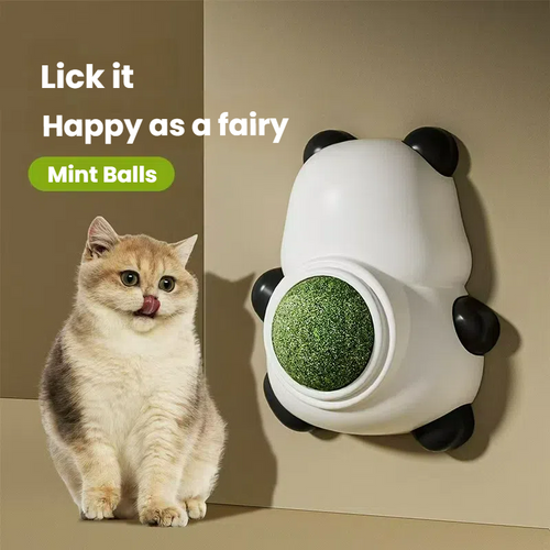 360° Catnip Ball Toy for Cats – Rotating Lick & Chew Wall Ball