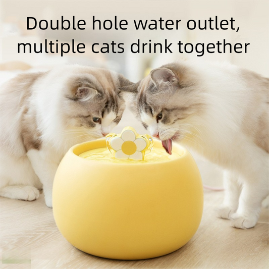 Automatic Pet Feeder & Water Dispenser for Cats and Small Dogs