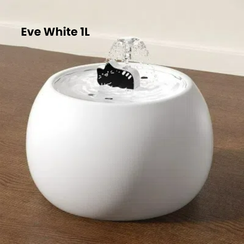 Automatic Pet Feeder & Water Dispenser for Cats and Small Dogs