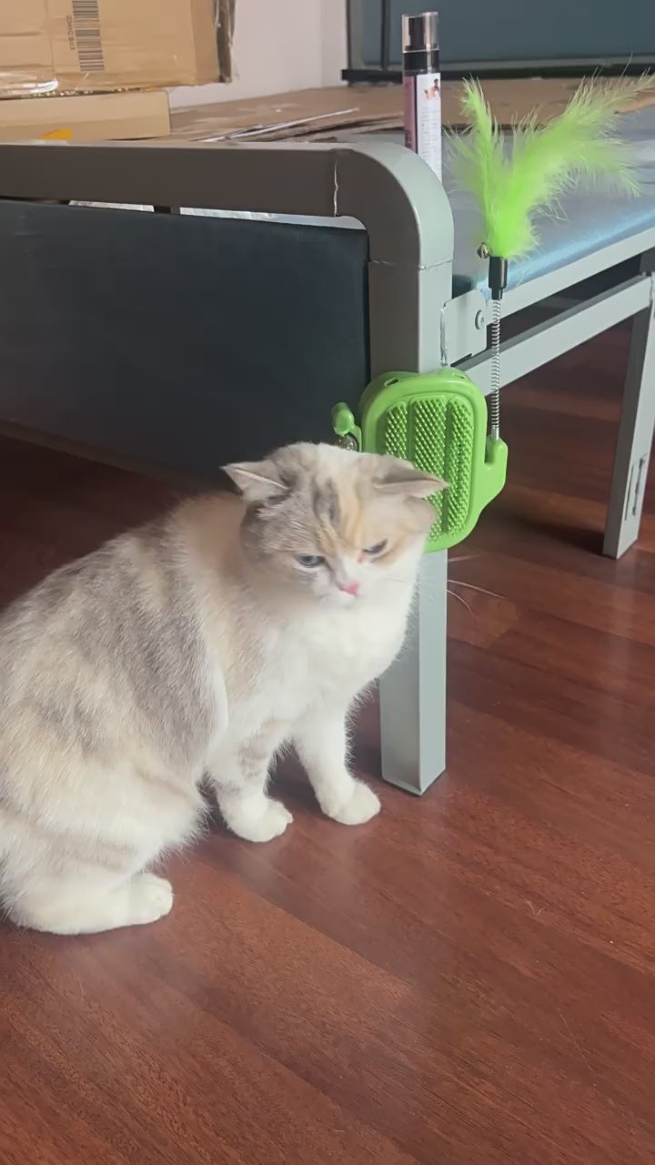 360 Degree Cat Self Groomer with Catnip Slot and Teaser Wand Mount